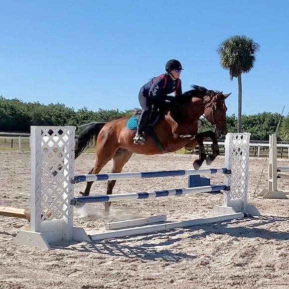 shredquestrian